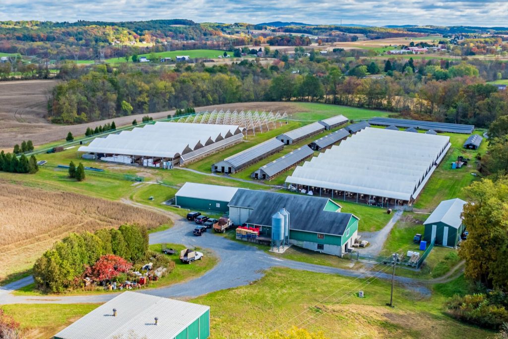 Richard Stahl & Sons fur farm in Pennsylvania
