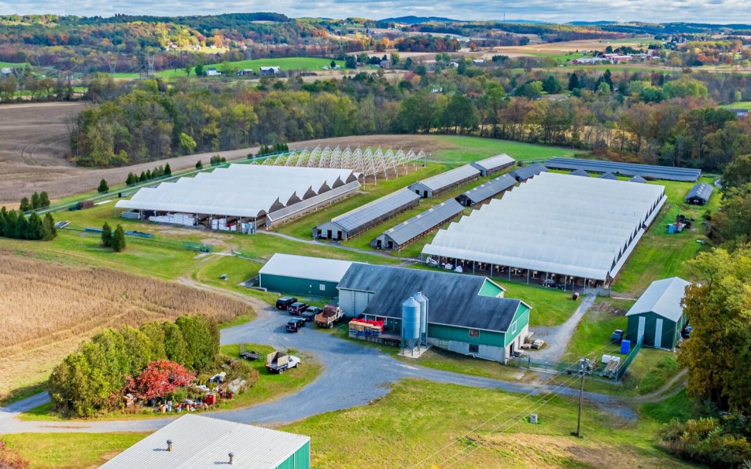 Stahl fur farm is for sale