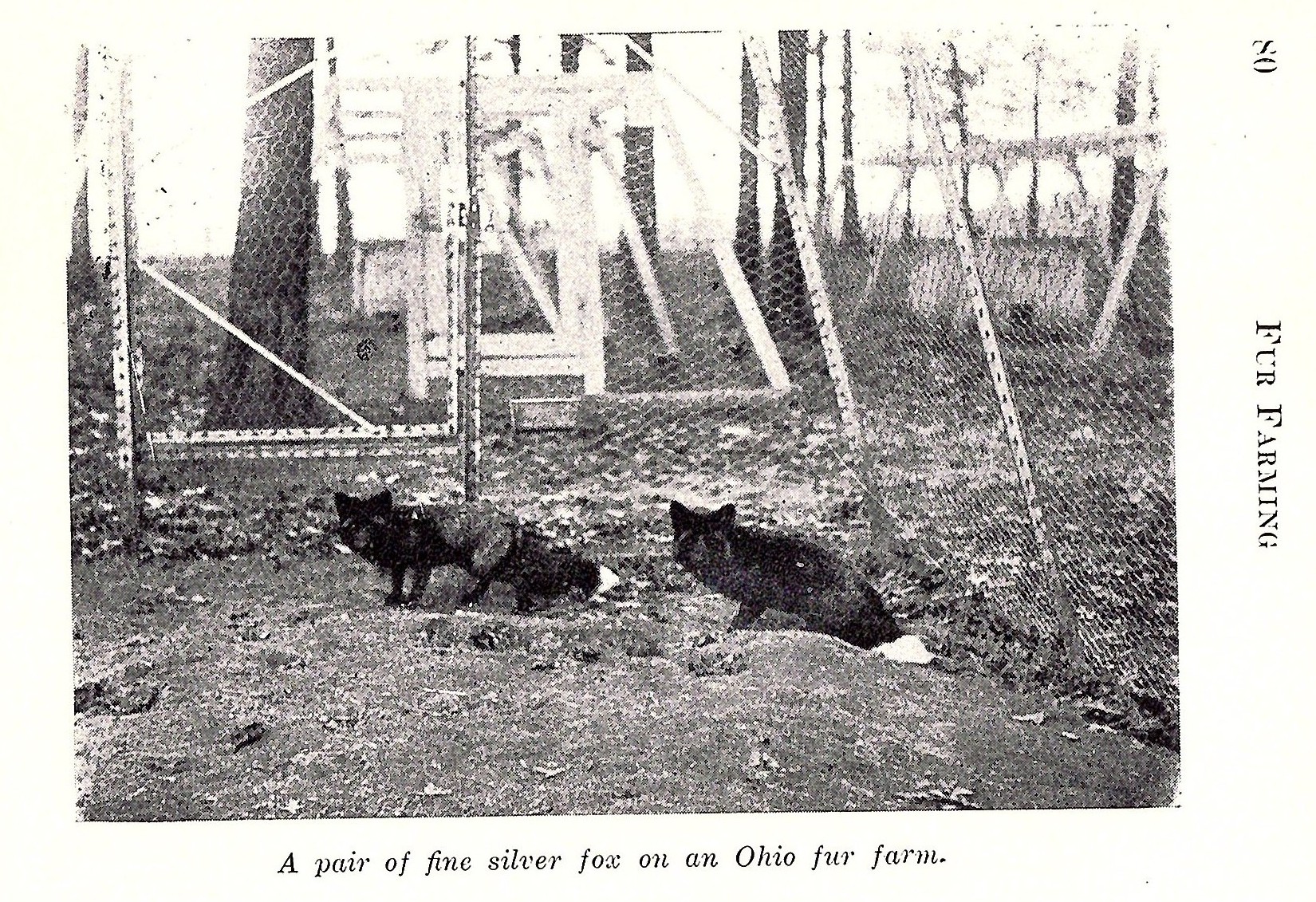 Fur Farming book