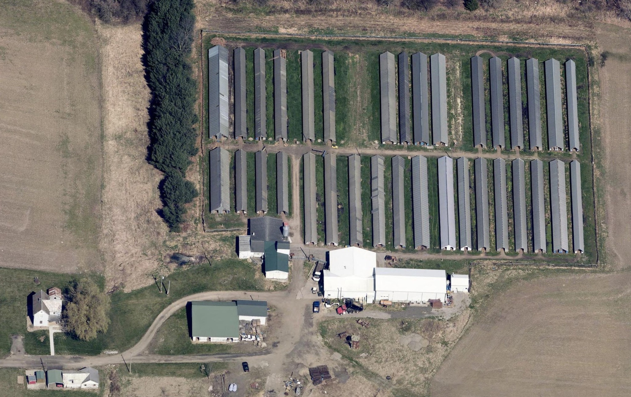 Ohio farm missing hundreds of mink!