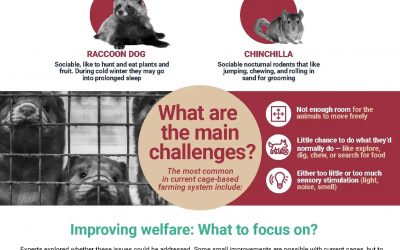 European Union scientific report on welfare of animals kept for fur production