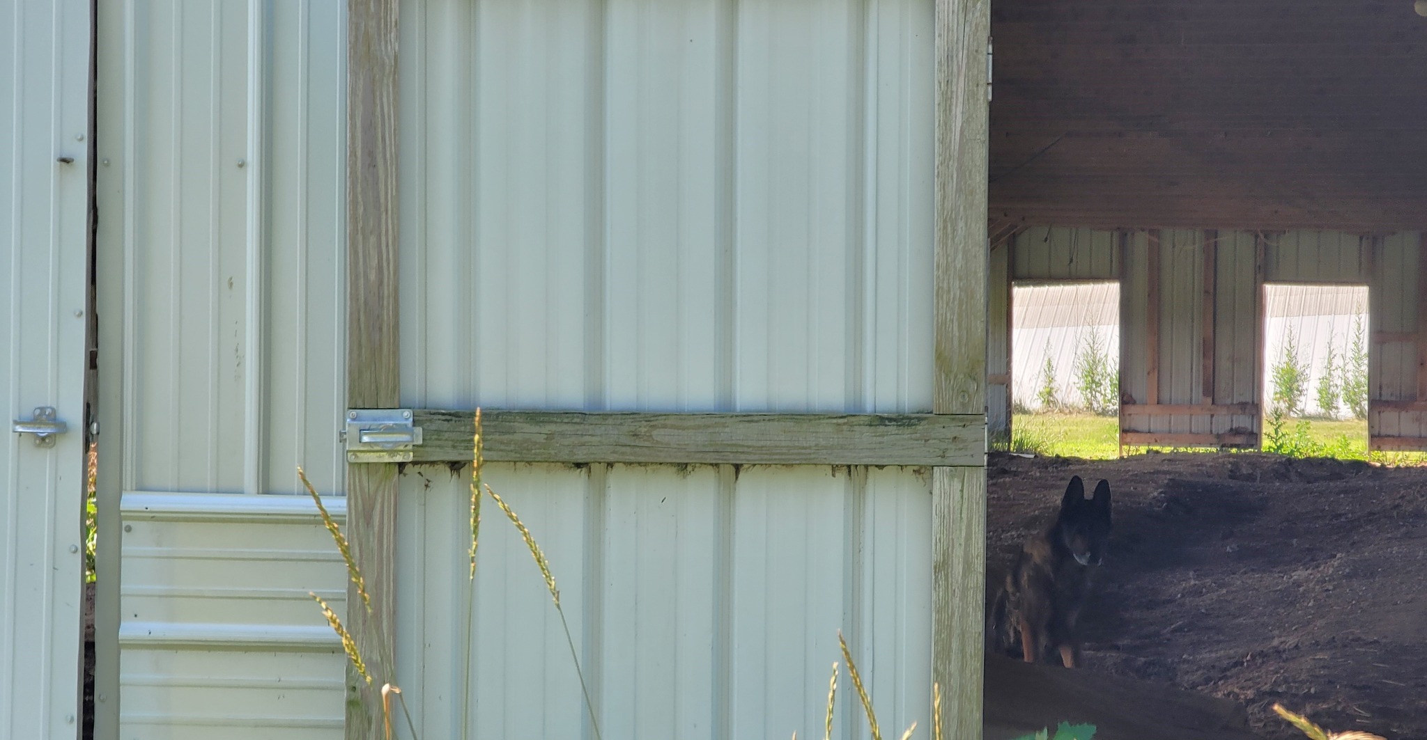 Blanke-Wachter fur farm in Plymouth, WI