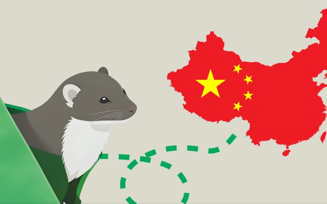 Drug trafficking and the mink industry in Denmark