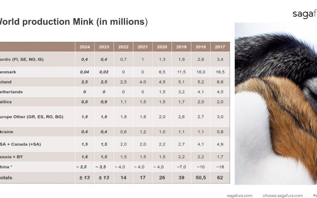 Number of mink killed worldwide for fur has declined by 50% since 2020