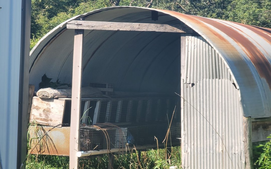 Another mink farm confirmed empty