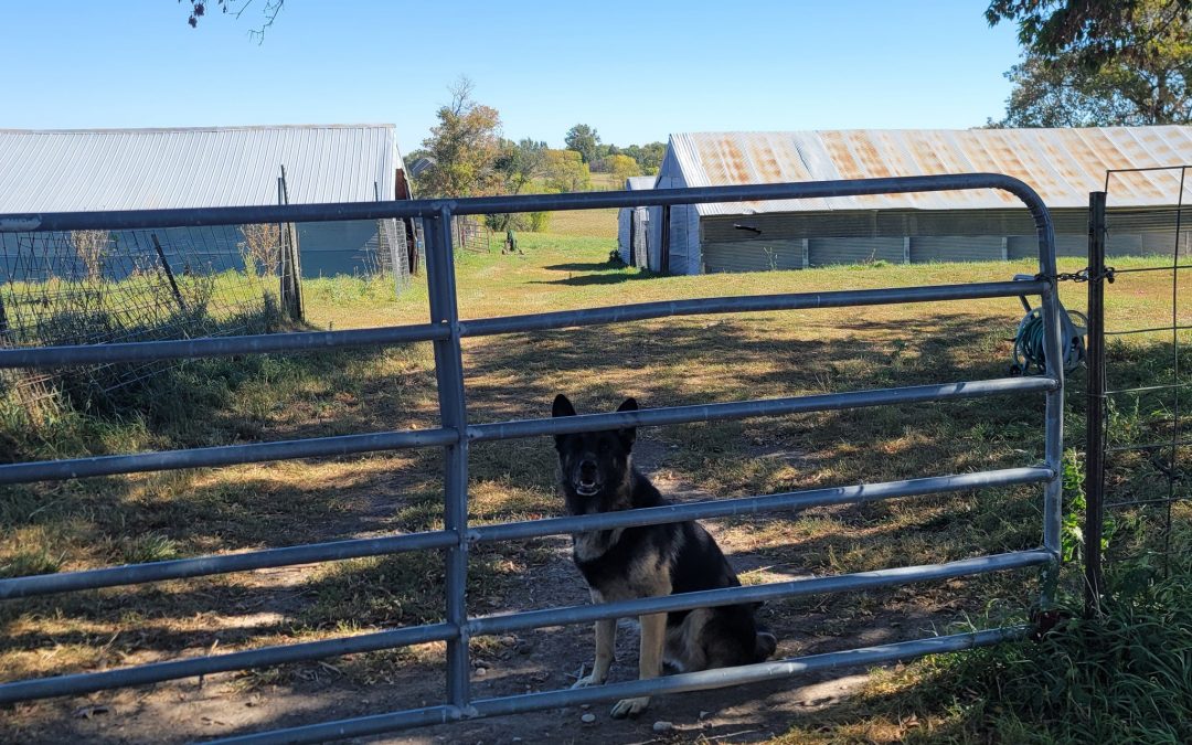 Urbach farm in Minnesota is no longer an active fur farm