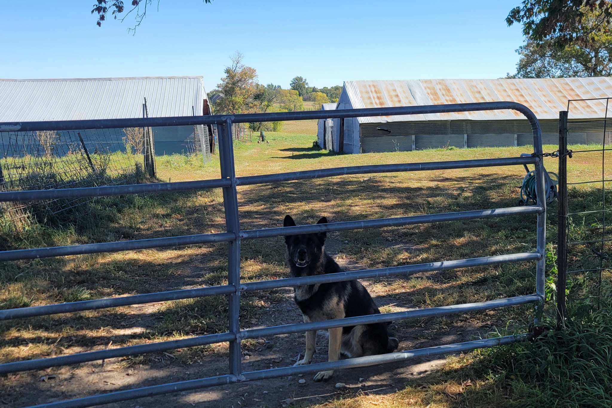 Urbach farm in Frazee, MN