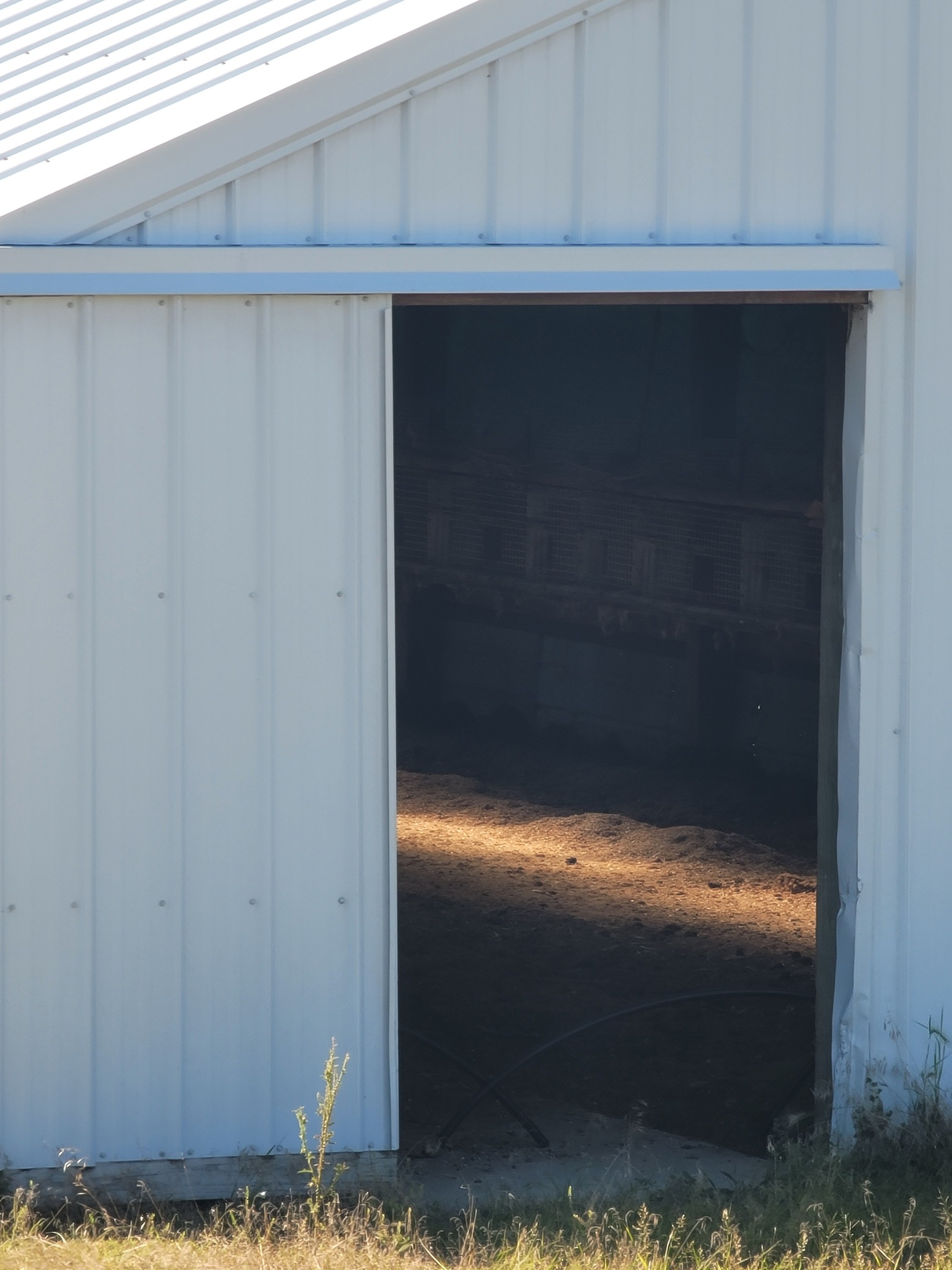 Mueller Bros. Mink Ranch, in Kimball, MN
