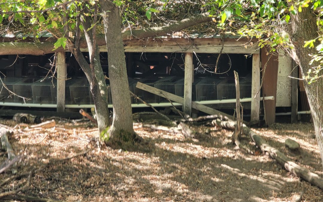 Empty cages at the Soland fur farm