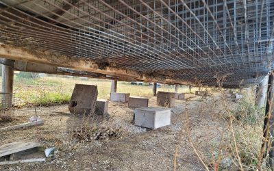 We are pleased to declare the Fassett Fur Farm (Webster City, Iowa) closed!