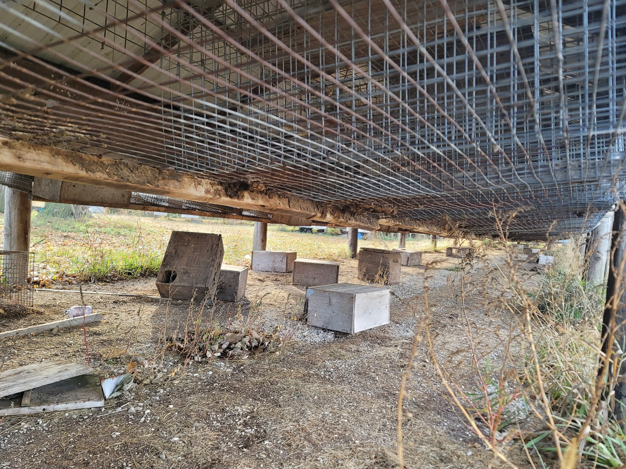 Fassett Fur Farm in Webster City, Iowa