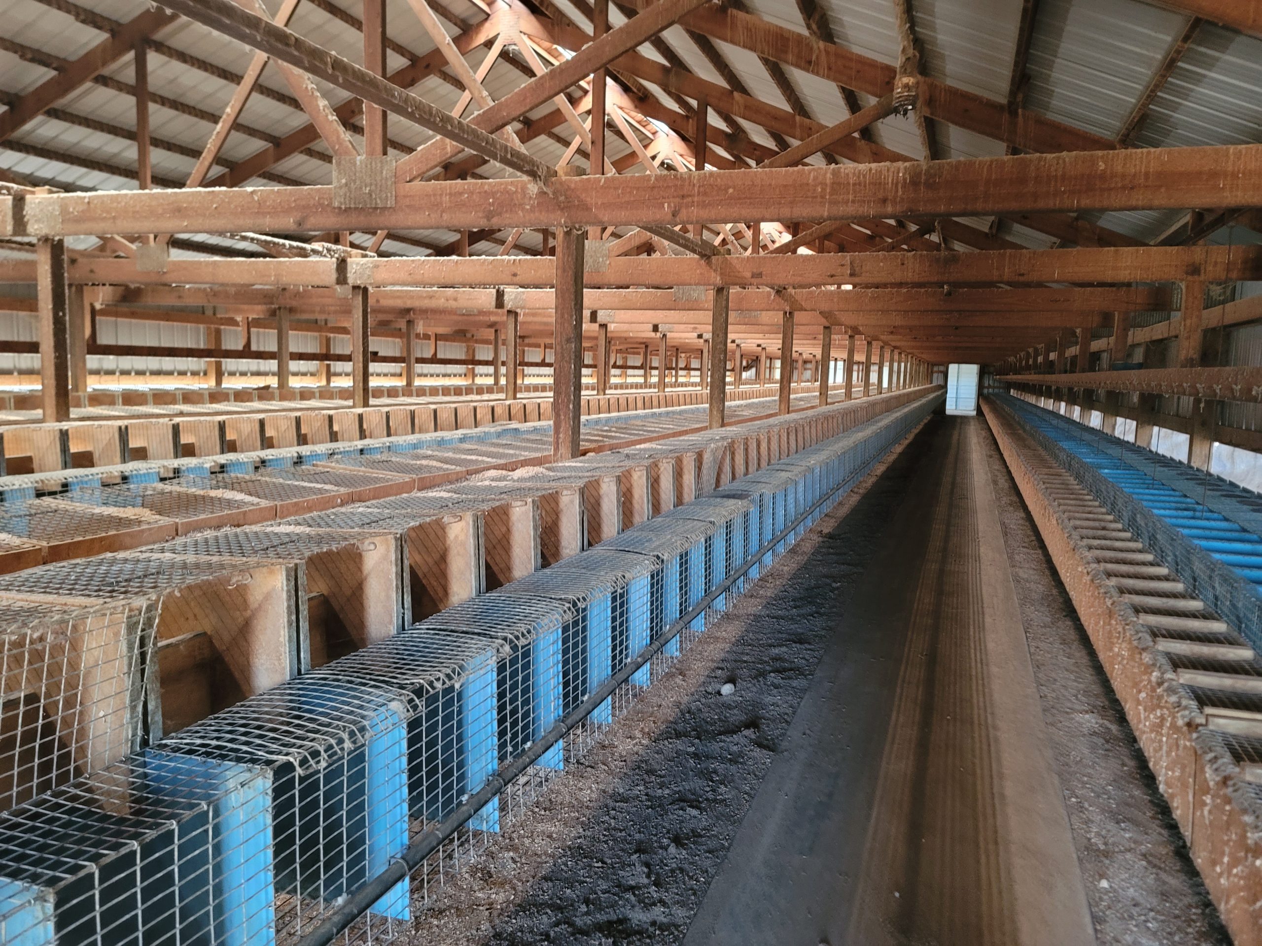 Royal Oak Mink Ranch in Sauk Centre, MN