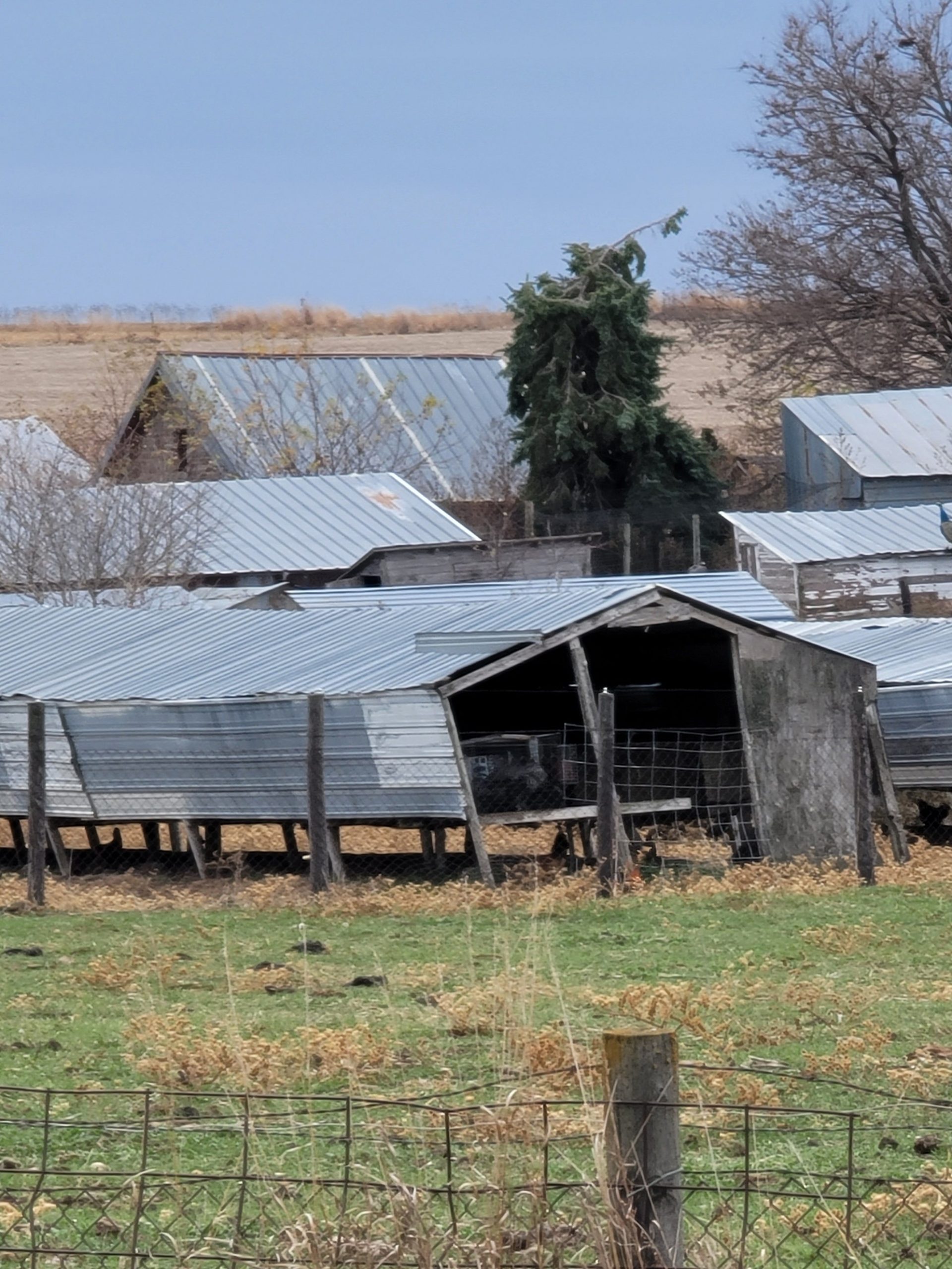 Smeal fox farm in Scribner, Nebraska
