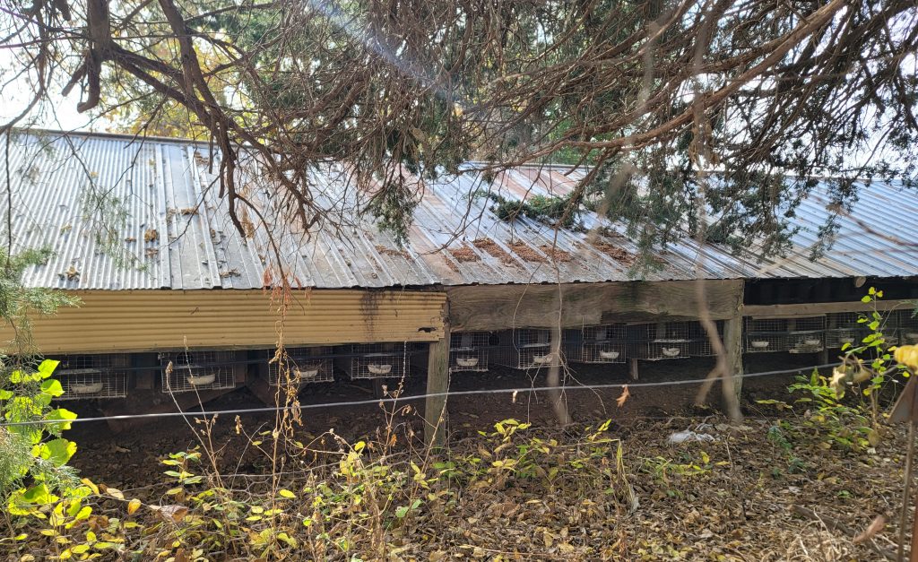 Tremel fur farm in Woodbine, Iowa