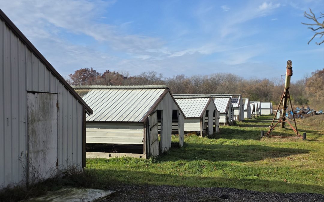 Gengel Mink Farm has closed