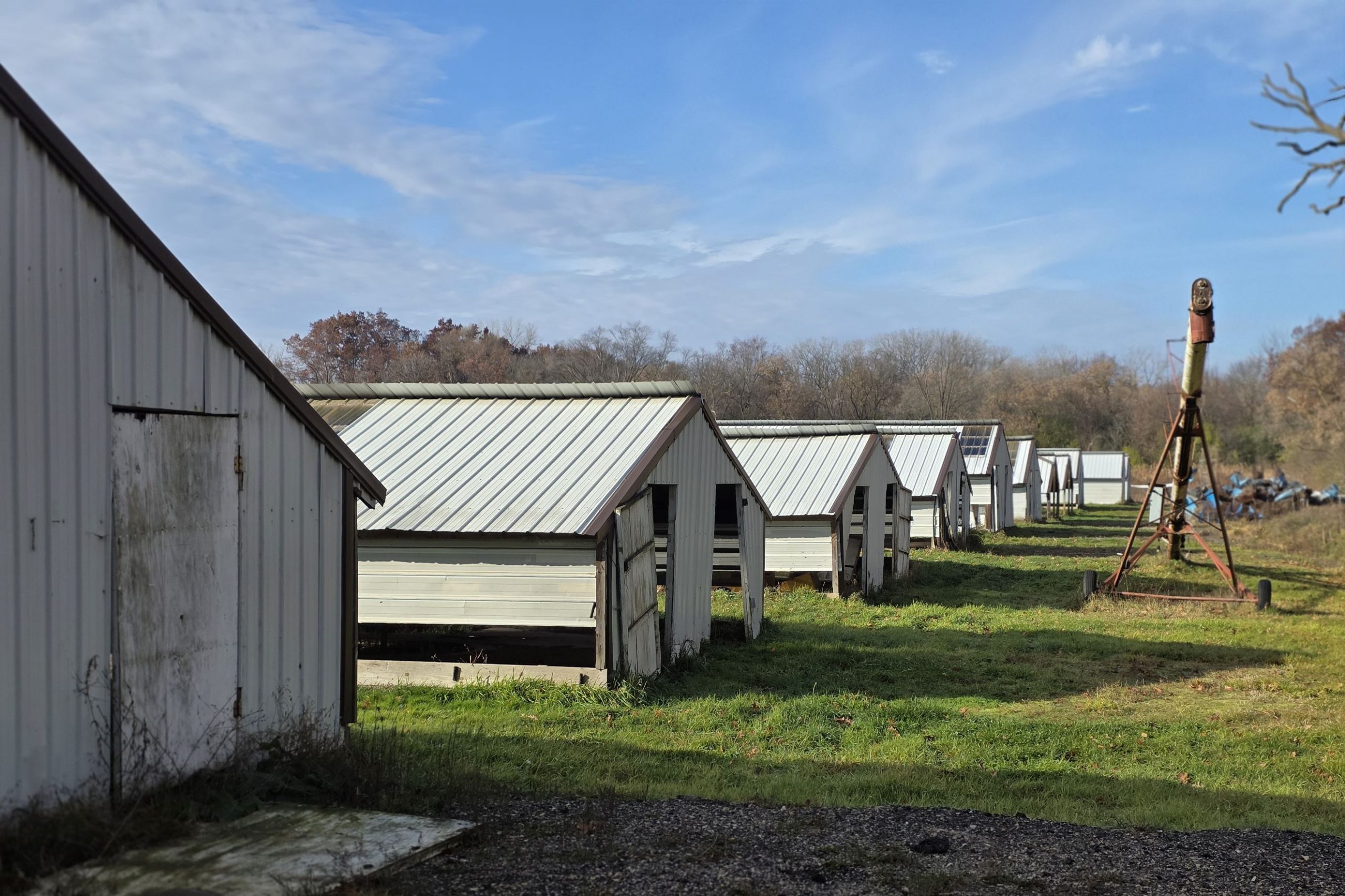 Gengel Mink Farm (Lake Villa, Illinois)