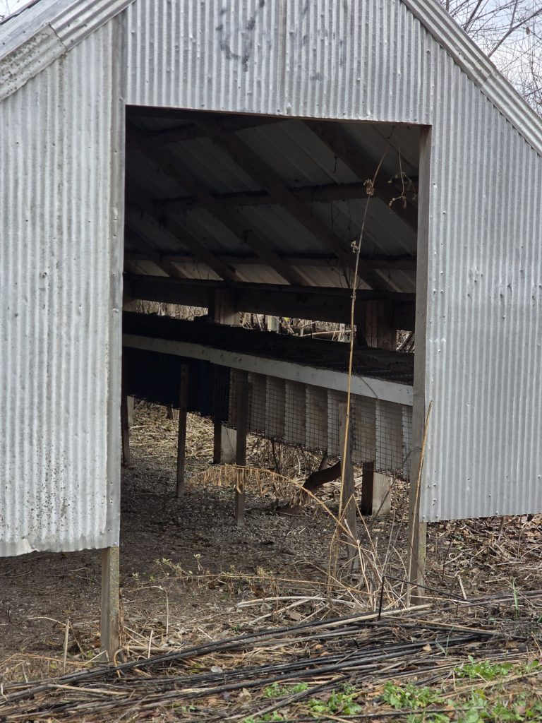Monteleone Mink Ranch (Elgin, Illinois)