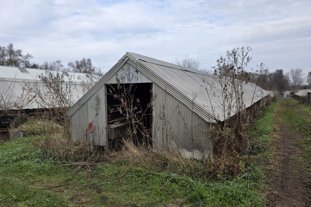 Monteleone Mink Ranch (Elgin, Illinois)