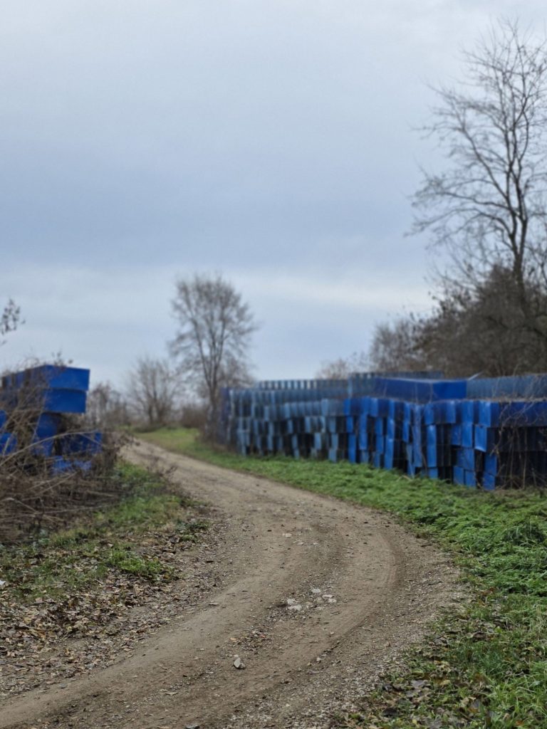 Monteleone Mink Ranch (Elgin, Illinois)