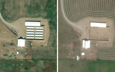 Bobcat fur farm closed