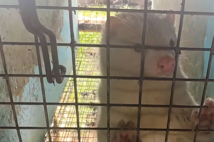 This is the farm they showcase?!