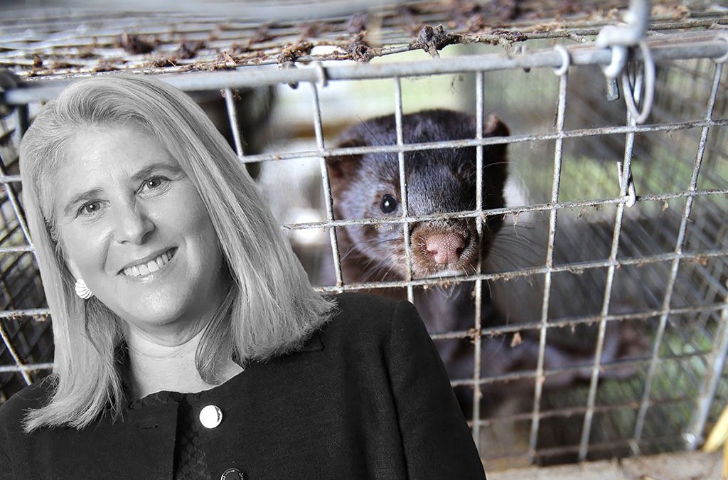 Joan Galvin: Fur industry lobbyist