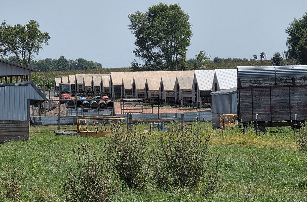 Blasel fur farm still in operation :(