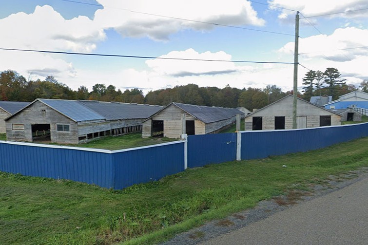 New Brunswick mink farm