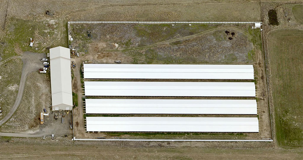 Utah mink farm